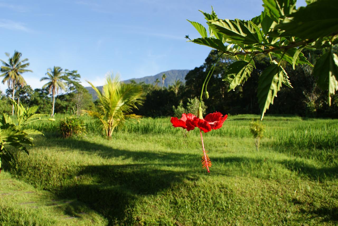 Prana Dewi Mountain Resort 자띠루위 외부 사진