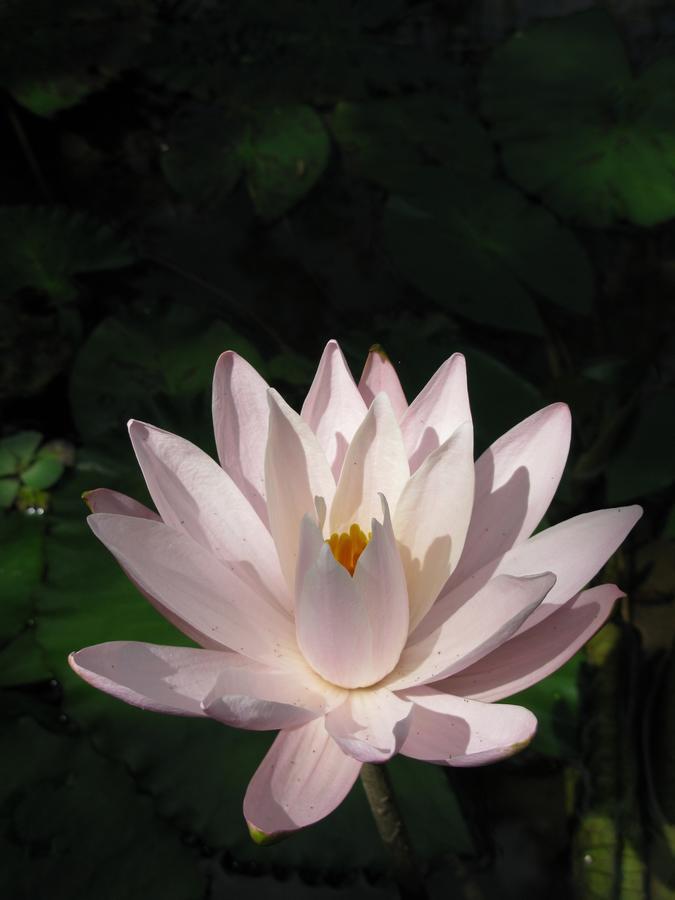 Prana Dewi Mountain Resort 자띠루위 외부 사진