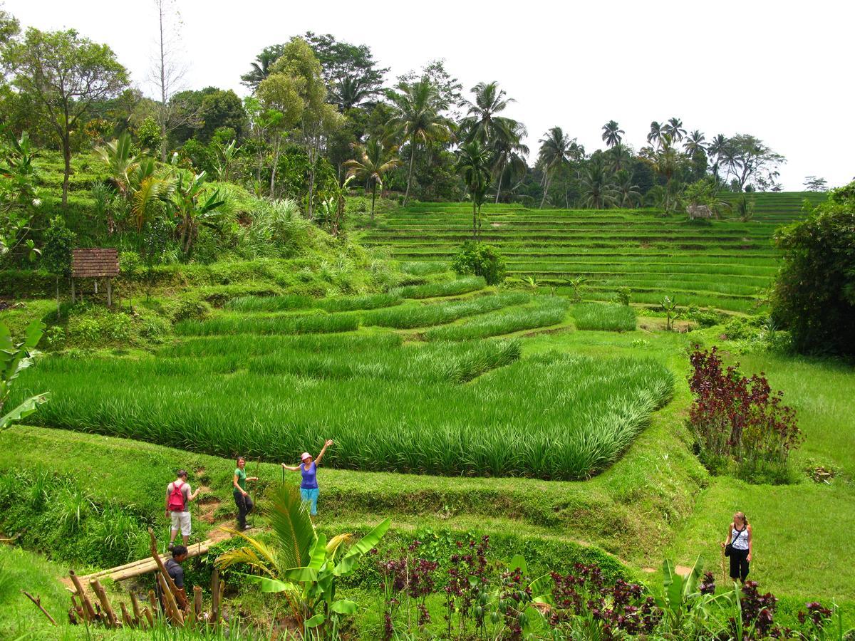 Prana Dewi Mountain Resort 자띠루위 외부 사진