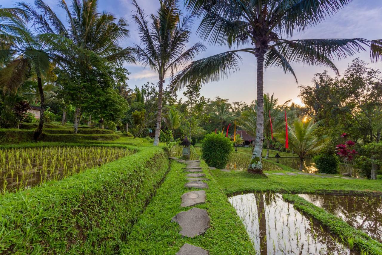 Prana Dewi Mountain Resort 자띠루위 외부 사진