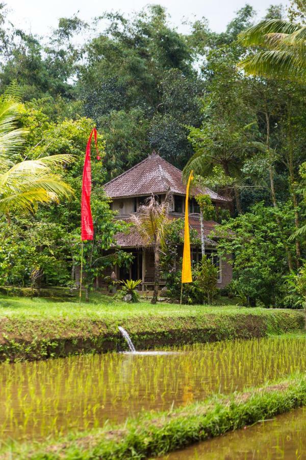 Prana Dewi Mountain Resort 자띠루위 외부 사진
